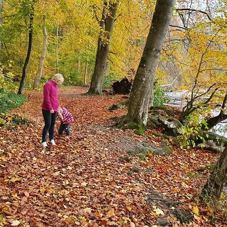 Apartment Fewo-suite Nordlicht Mit Kanu, Direkte Seelage *